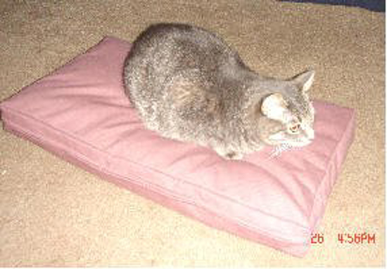 Picture of Poly Fill Filling - Pet Bed- Box Style