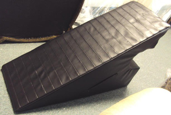 Picture of Pet Ramp- For Car (Please Provide Paper Template)