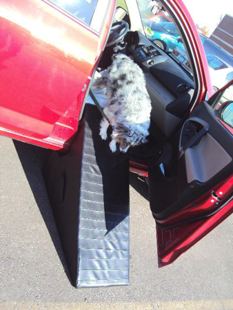 Picture of Pet Ramp- For Car (Please Provide Paper Template)