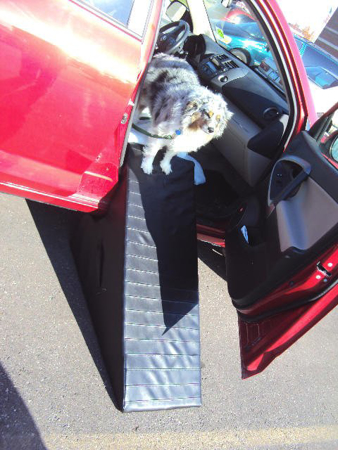 Picture of Pet Ramp- For Car (Please Provide Paper Template)