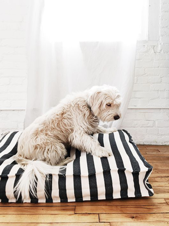 Picture of Poly Fill Filling - Pet Bed- Box Style