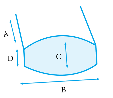 back cusion measurements
