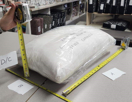 Picture of Back Cushion