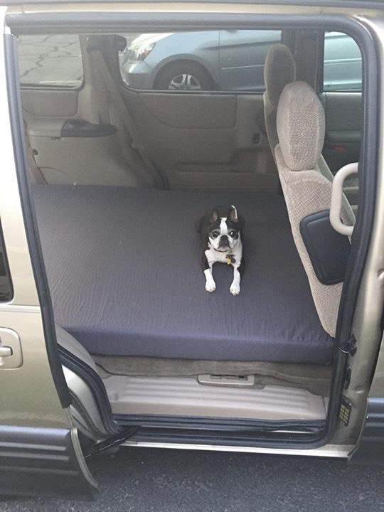Pet Bed for Car