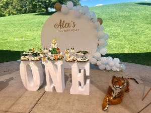 Baby Display Polystyrene